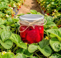 Strawberry Jelly Candle